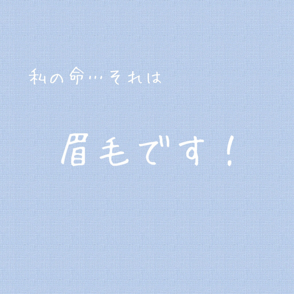 bi-hada ompa L ホルダー替刃2個付/貝印/シェーバーを使ったクチコミ（2枚目）