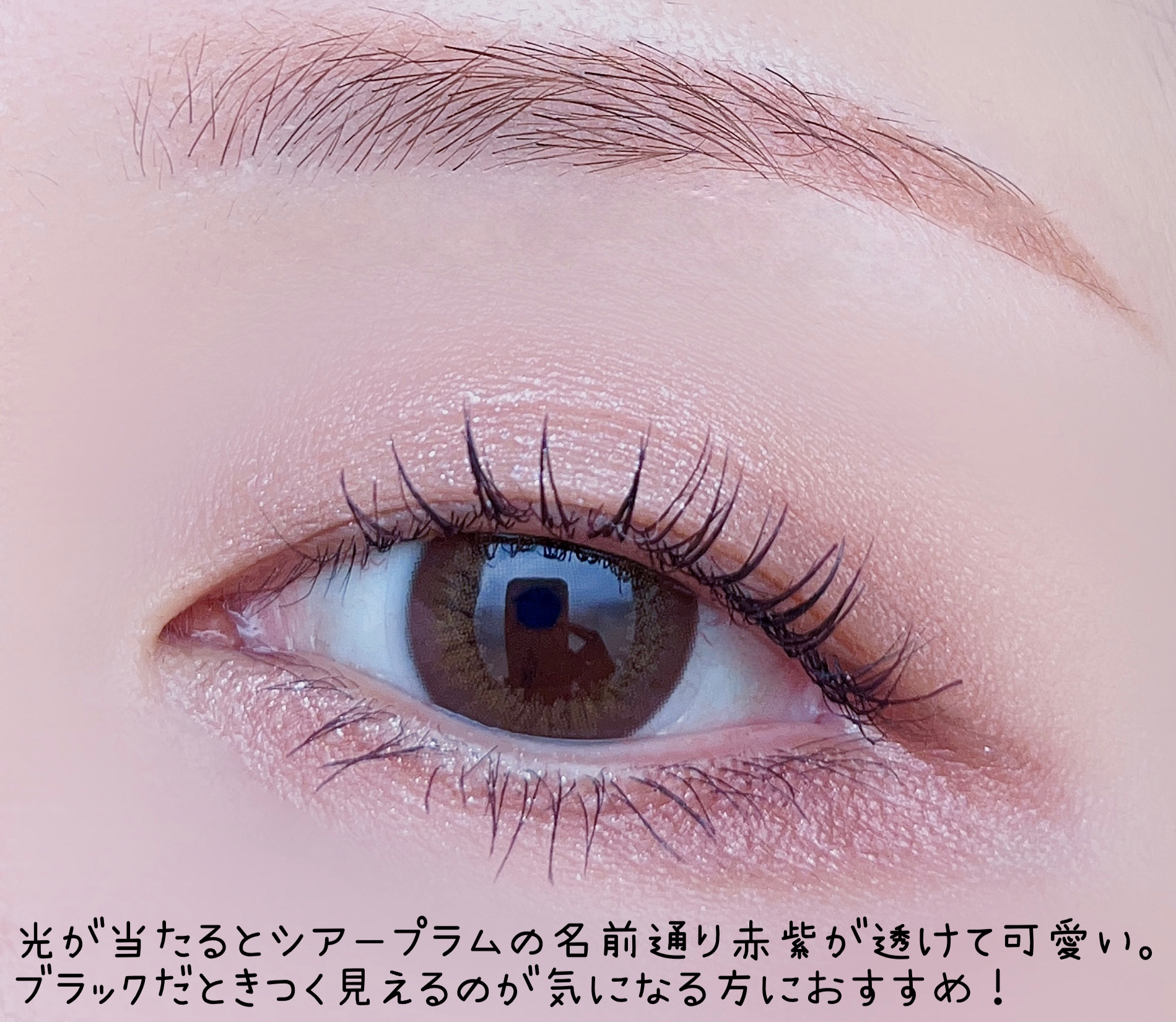 ウォンジョンヨ ヌードアイラッシュ 04 シアープラム/Wonjungyo/マスカラを使ったクチコミ（3枚目）