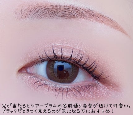 ウォンジョンヨ ヌードアイラッシュ 04 シアープラム/Wonjungyo/マスカラを使ったクチコミ(3枚目)