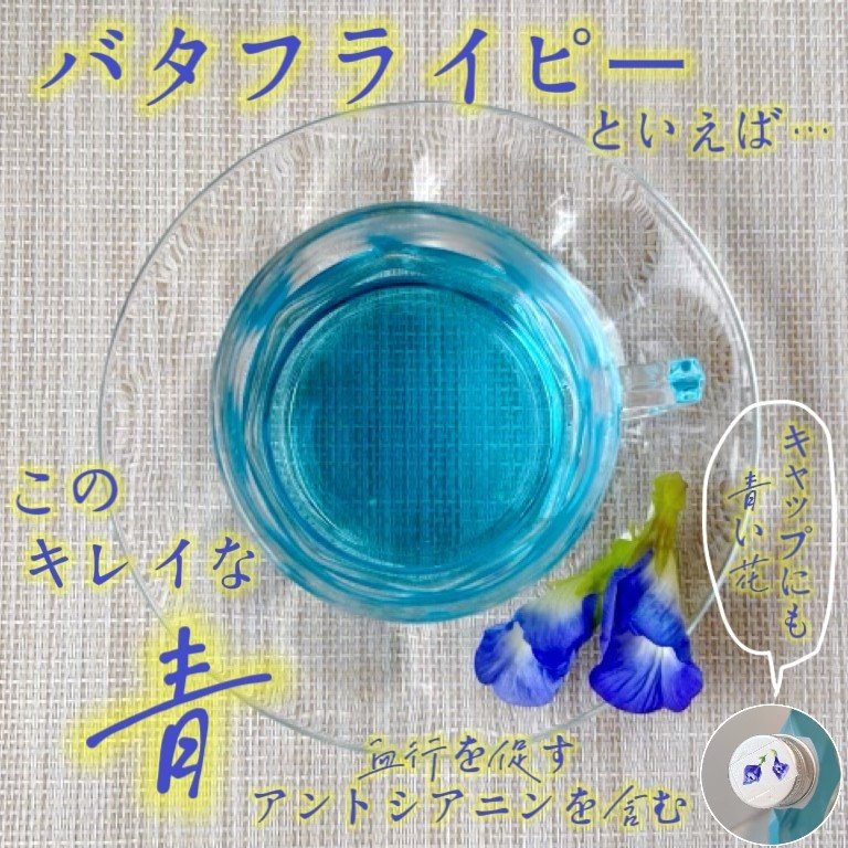 バタフライピーシャンプー/バタフライピーコンディショナー/TROPIKA/市販シャンプーを使ったクチコミ（2枚目）