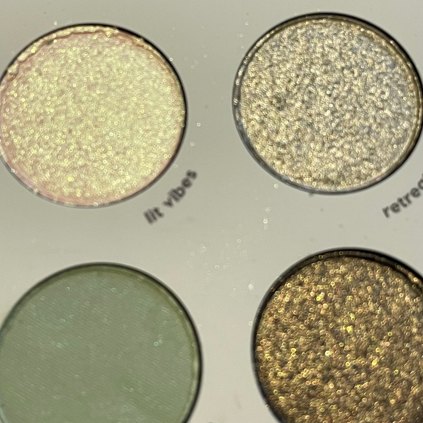 sage the day palette/ColourPop/アイシャドウパレットを使ったクチコミ(6枚目)