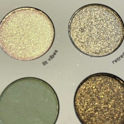 sage the day palette/ColourPop/アイシャドウパレットを使ったクチコミ(6枚目)