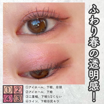 アイカラーレーション/LUNASOL/アイシャドウパレットを使ったクチコミ(5枚目)