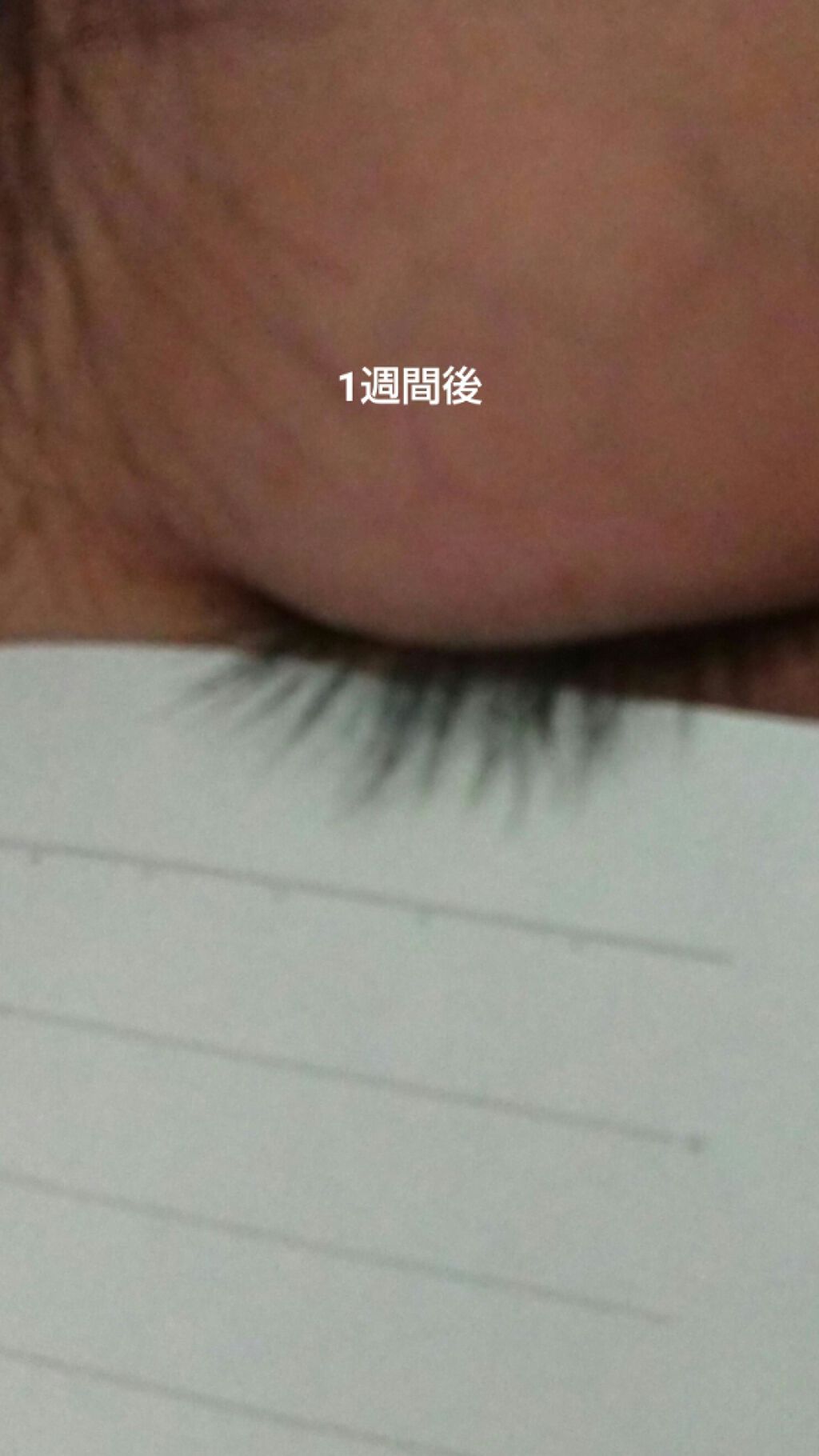 まつげ美容液EX/CEZANNE/まつげ美容液を使ったクチコミ(5枚目)