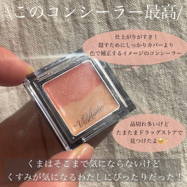 リシェ レッドトリック アイコンシーラー/Visée/パレットコンシーラーを使ったクチコミ（2枚目）