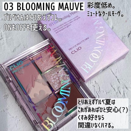 プロ アイパレット ミニ/CLIO/アイシャドウパレットを使ったクチコミ(5枚目)