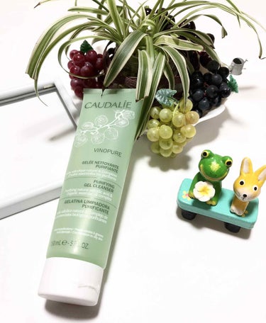 Vinopure Purifying Gel Cleanser/コーダリー/その他洗顔料を使ったクチコミ（1枚目）