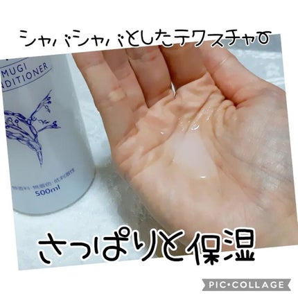 ハトムギ化粧水(ナチュリエ スキンコンディショナー R )/ナチュリエ/化粧水を使ったクチコミ(2枚目)