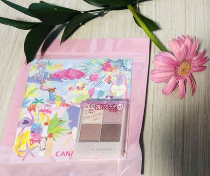 シルキースフレアイズ/キャンメイク/アイシャドウパレットを使ったクチコミ(1枚目)