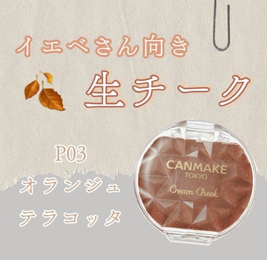 オレンジブラウン 生チーク🍊
CANMAKE クリームチーク  P03 オランジュテラコッタ
前に買ったP02ローズペタルが可愛いすぎたので追加しました😹


秋メイクにぜひ使いたい深めなオレンジブラウ