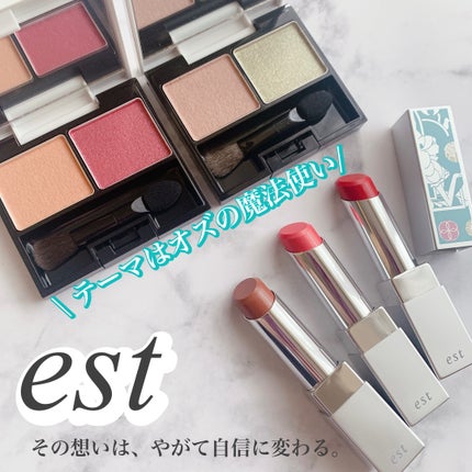 ルミナス プラウド アイズ/est/アイシャドウパレットを使ったクチコミ(1枚目)