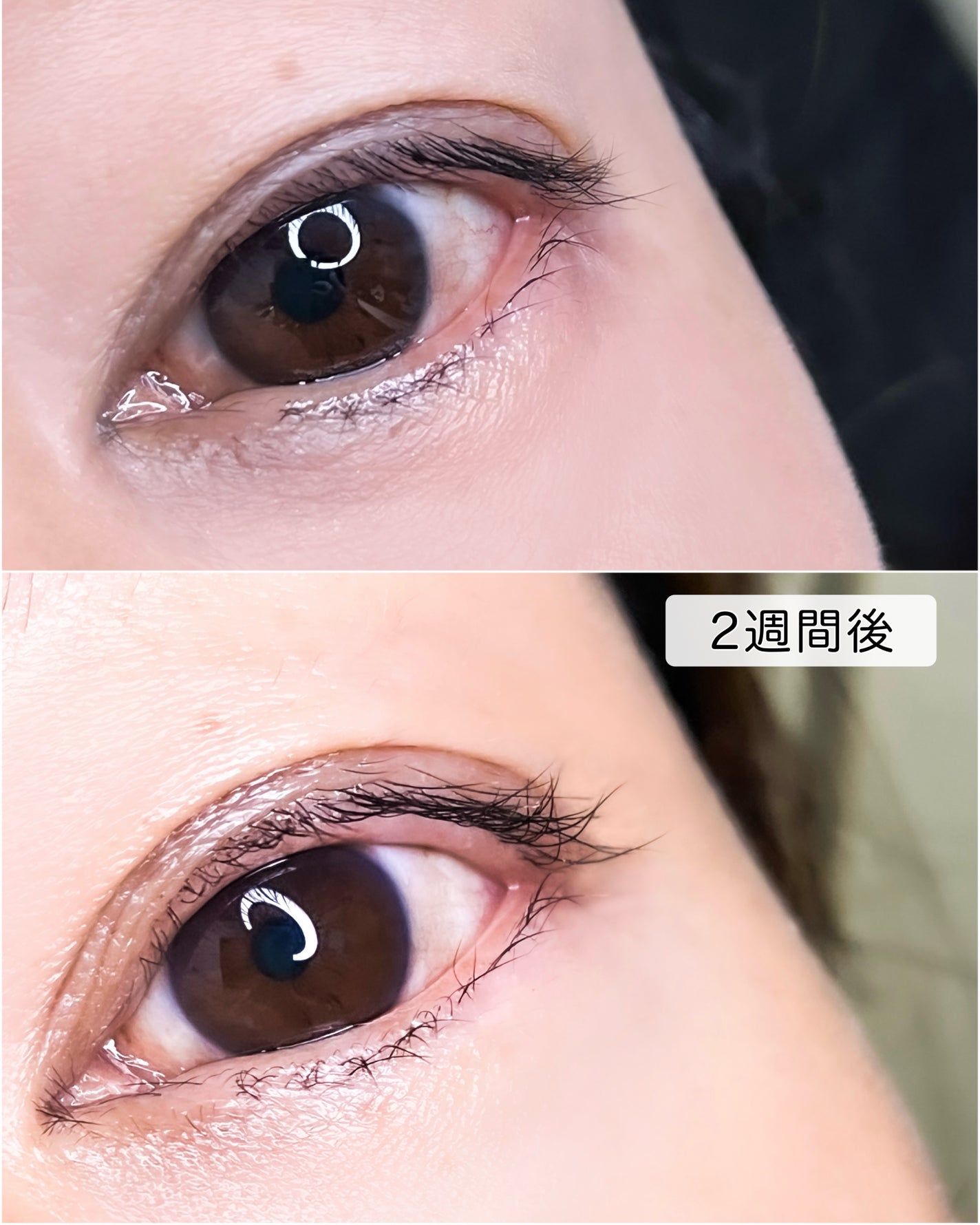 LASH & BROW ENRICHED BLACK SERUM/MARSHIQUE/まつげ美容液を使ったクチコミ(3枚目)