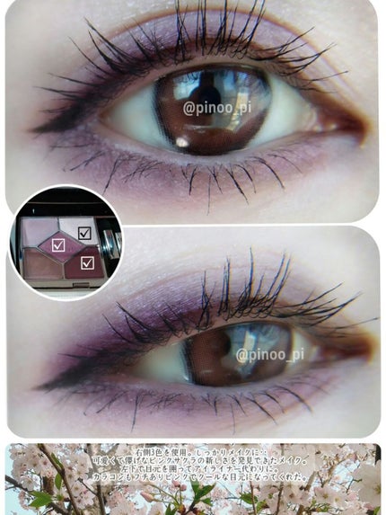 【旧】サンク クルール クチュール/Dior/アイシャドウパレットを使ったクチコミ(4枚目)