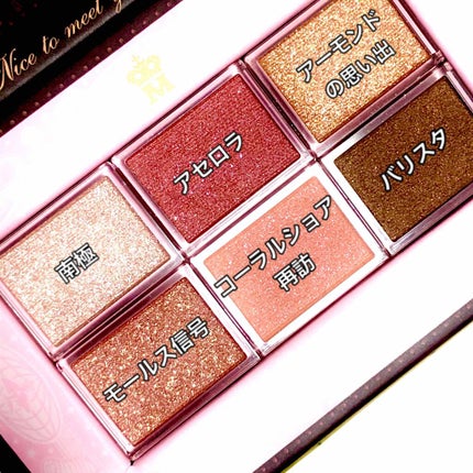 ナイストゥミーチュートランク/MAJOLICA MAJORCA/アイシャドウパレットを使ったクチコミ(2枚目)