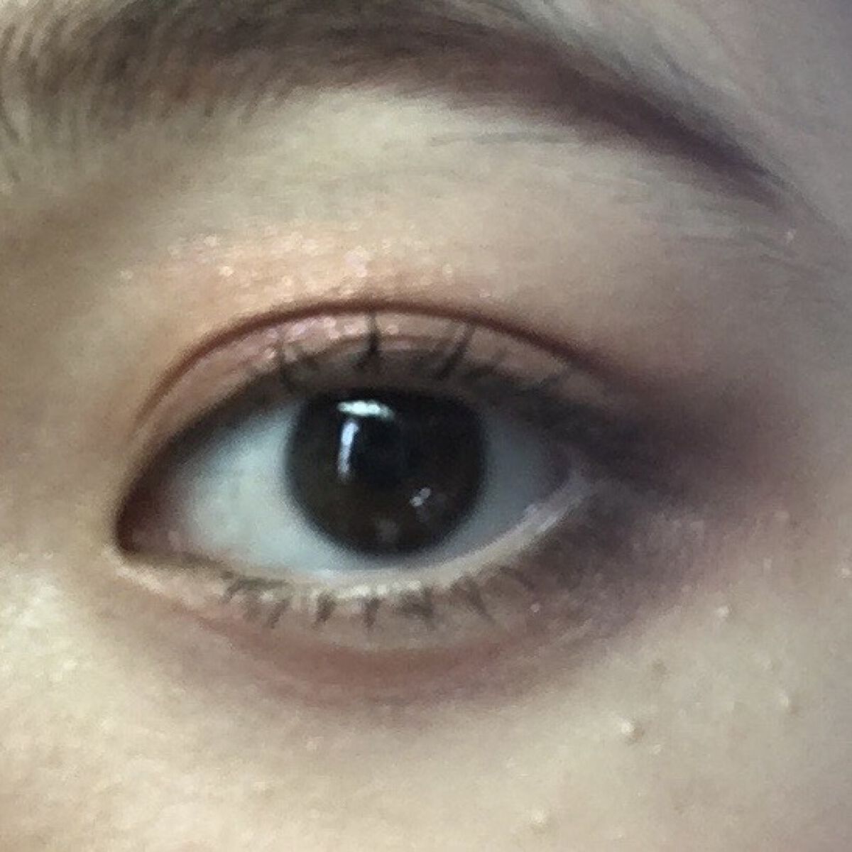 AC8カラーアイパレット/セリア/アイシャドウパレットを使ったクチコミ（1枚目）