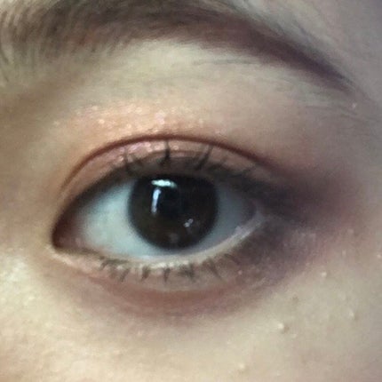 ラスティングマルチアイベース WP/キャンメイク/アイシャドウベースを使ったクチコミ(1枚目)