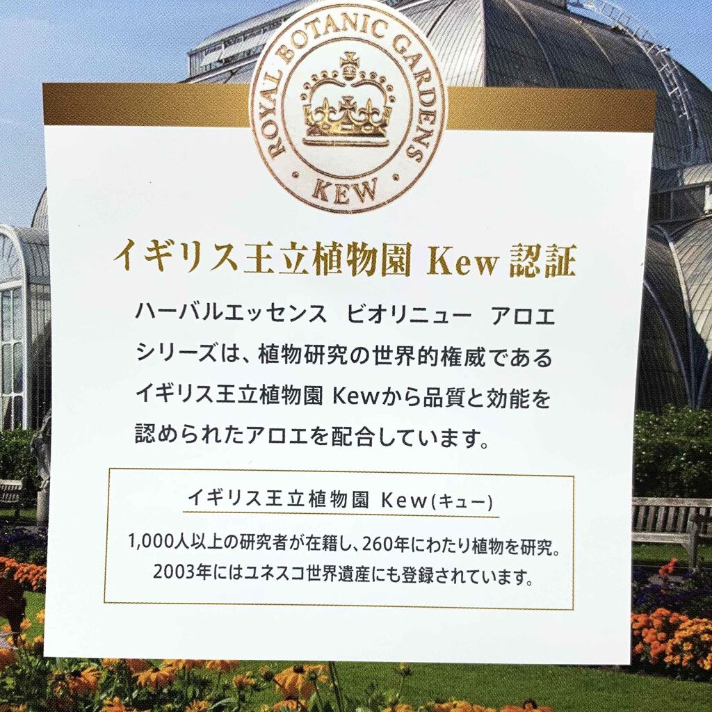 ビオリニュー アロエ＆バンブー シャンプー／コンディショナー シャンプー/ハーバルエッセンス/市販シャンプーを使ったクチコミ（3枚目）