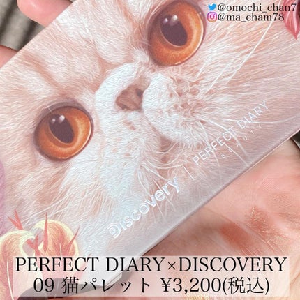 エクスプローラ12色 動物アイシャドウパレット/PERFECT DIARY/アイシャドウパレットを使ったクチコミ(6枚目)