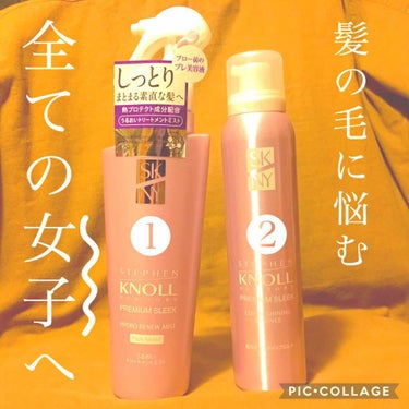 プレミアムスリーク カラーシャイニング エッセンス/スティーブンノル ニューヨーク/ヘアミルクを使ったクチコミ（1枚目）