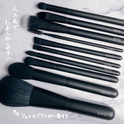 試してみた】SOYO SOYO ディスカバー フルセット (10本+ケース 試してみた】SOYO SOYO ディスカバー フルセット (10本+ケース