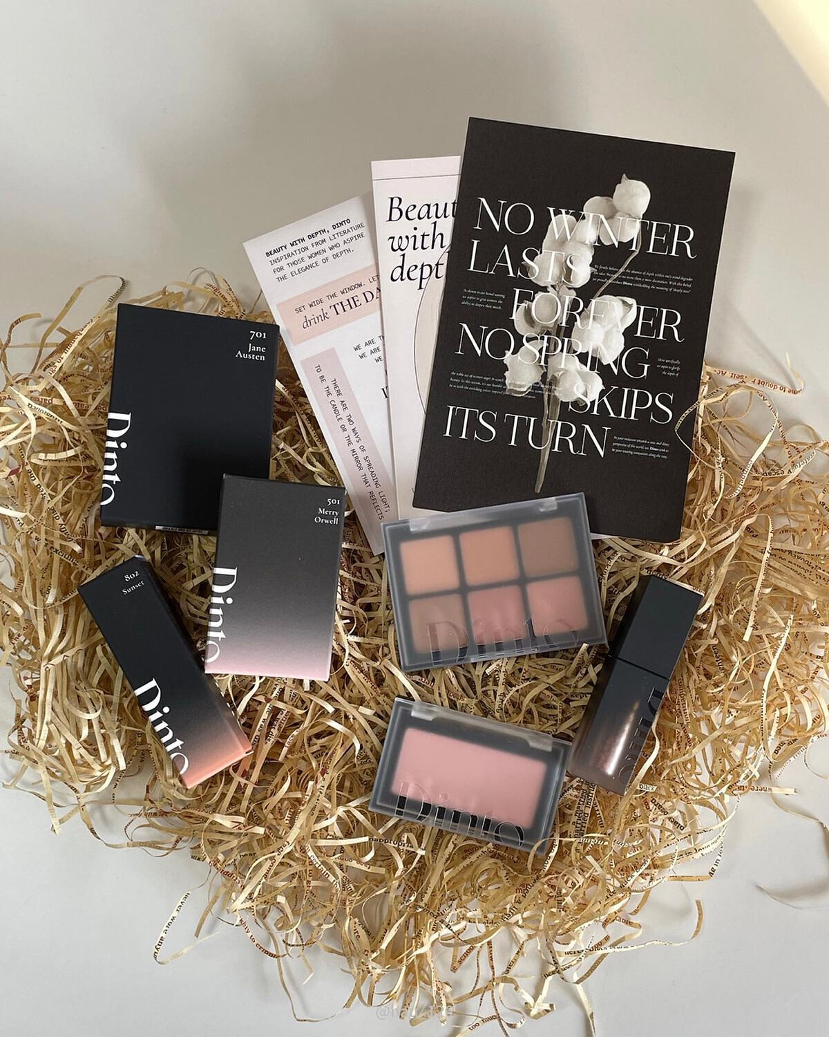 ブラーフィニシュシャドウパレット/Dinto/アイシャドウパレットを使ったクチコミ(1枚目)