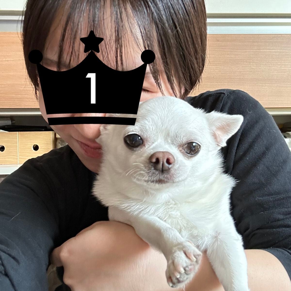 しに子ちゃん on LIPS 「みんなSLAMDUNK見た?わたしは昨日見た。みんな早く観にい..」(3枚目)