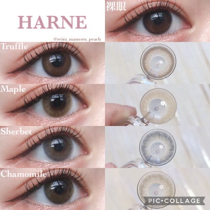 HARNE 1day/HARNE/ã¯ã³ããŒïŒïŒDAYïŒã«ã©ã³ã³ã䜿ã£ãã¯ãã³ãïŒ3æç®ïŒ