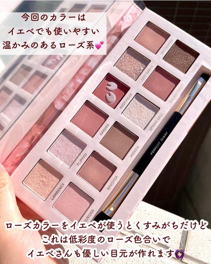 エクスプローラ12色 動物アイシャドウパレット/PERFECT DIARY/アイシャドウパレットを使ったクチコミ(4枚目)