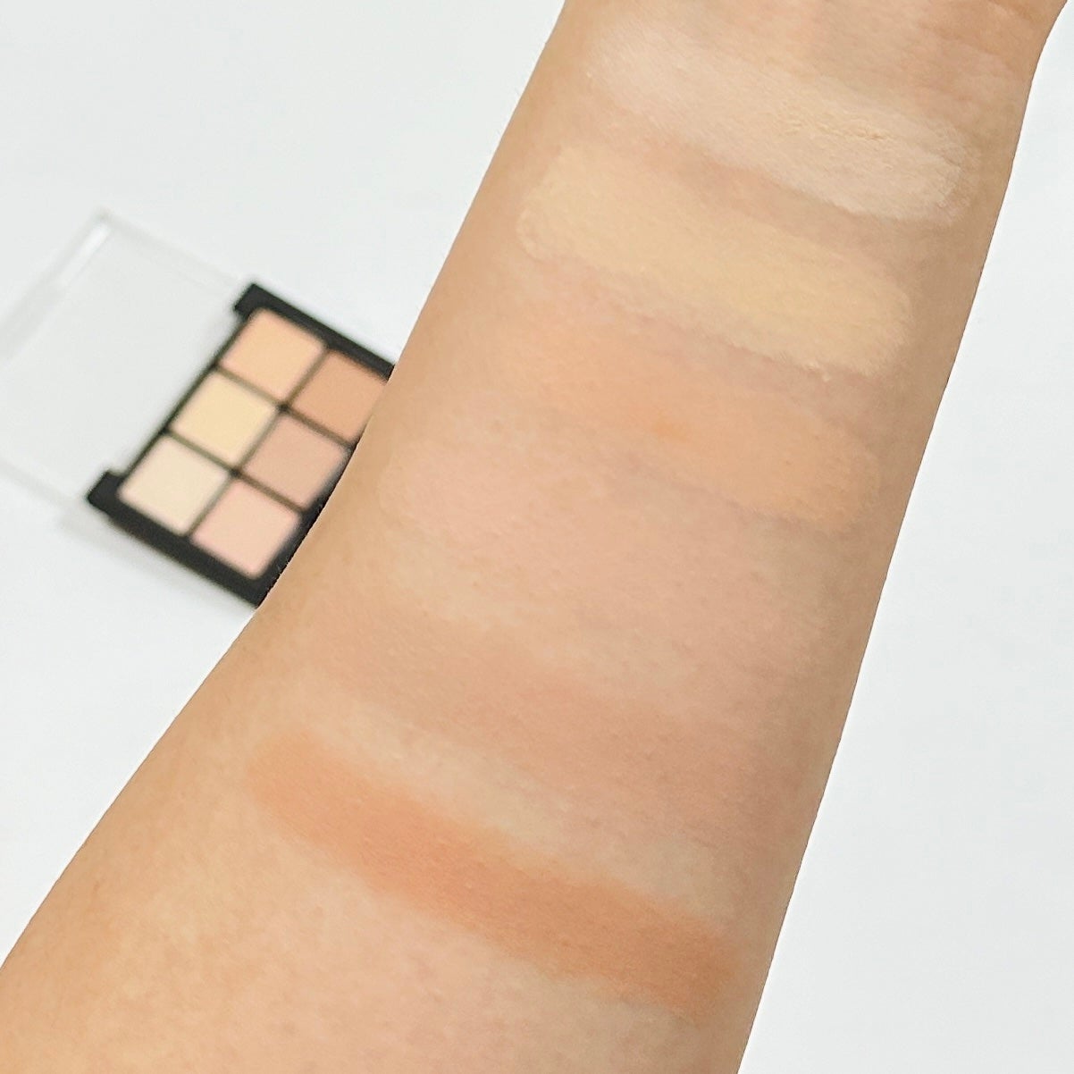 ブラーフィニシュシャドウパレット/Dinto/アイシャドウパレットを使ったクチコミ(7枚目)