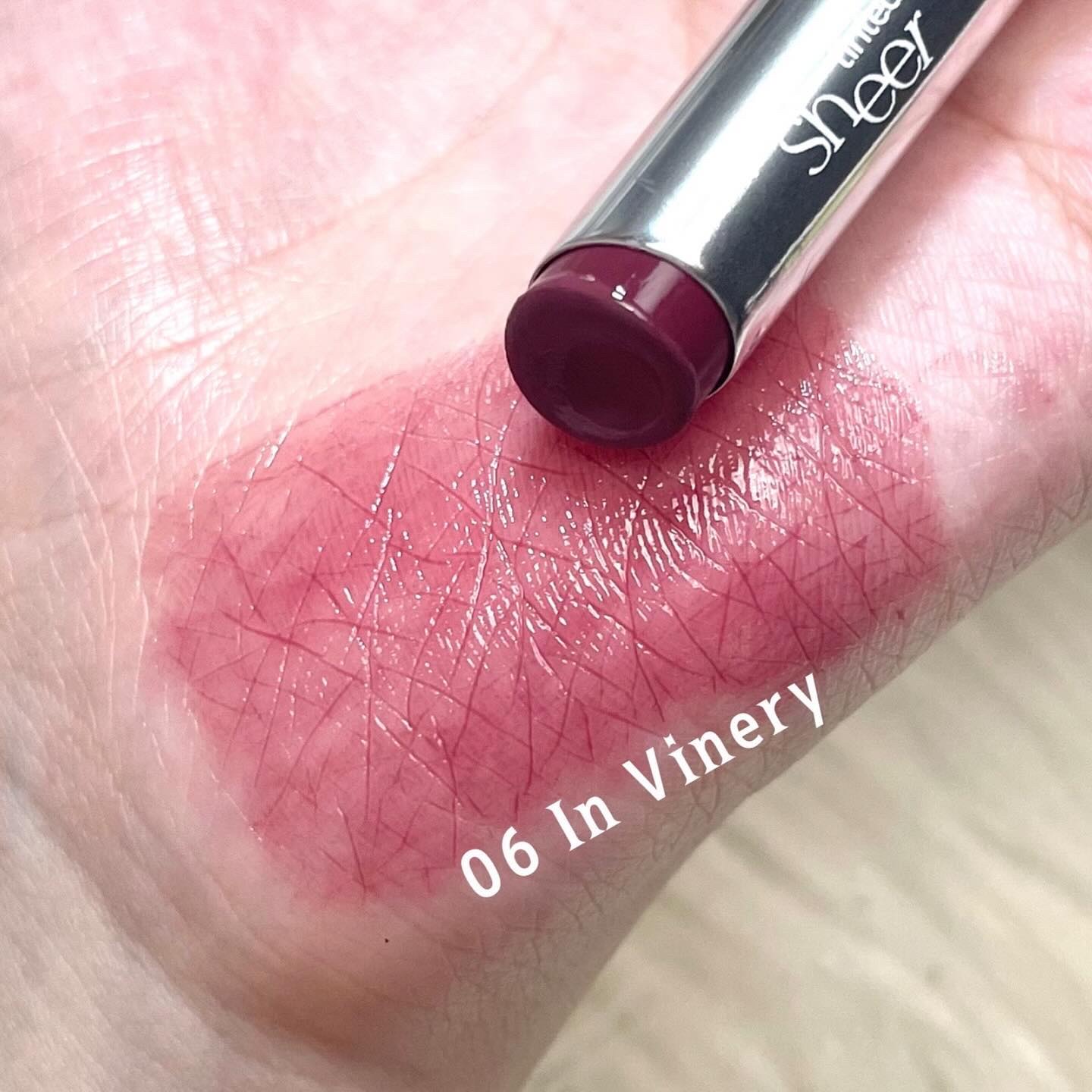 シアーティンテッドスティック 06 インバイナリー(IN VINERY)/rom&nd/口紅を使ったクチコミ（3枚目）
