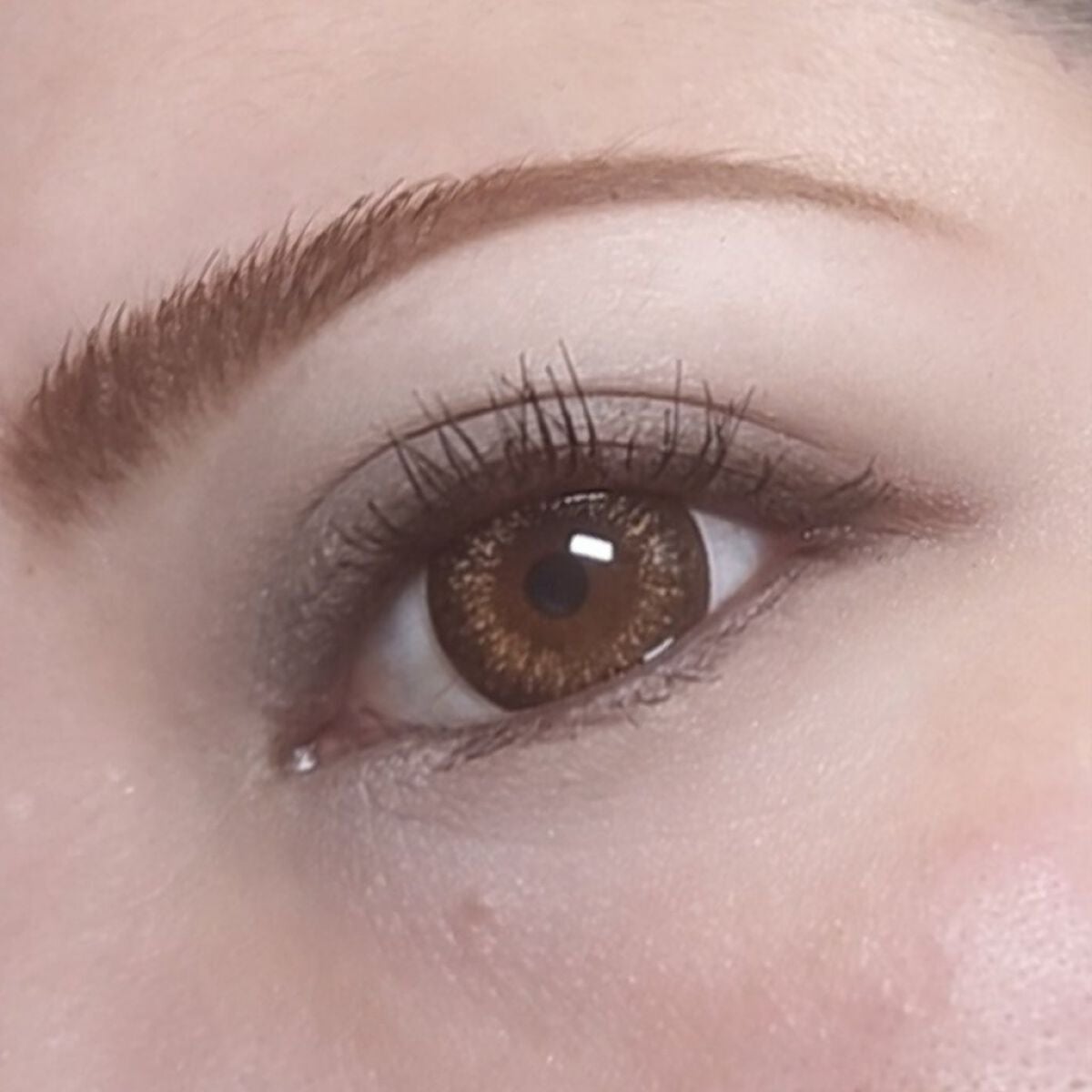 ニュアンス マット クリエイター/Visée/アイシャドウパレットを使ったクチコミ(6枚目)