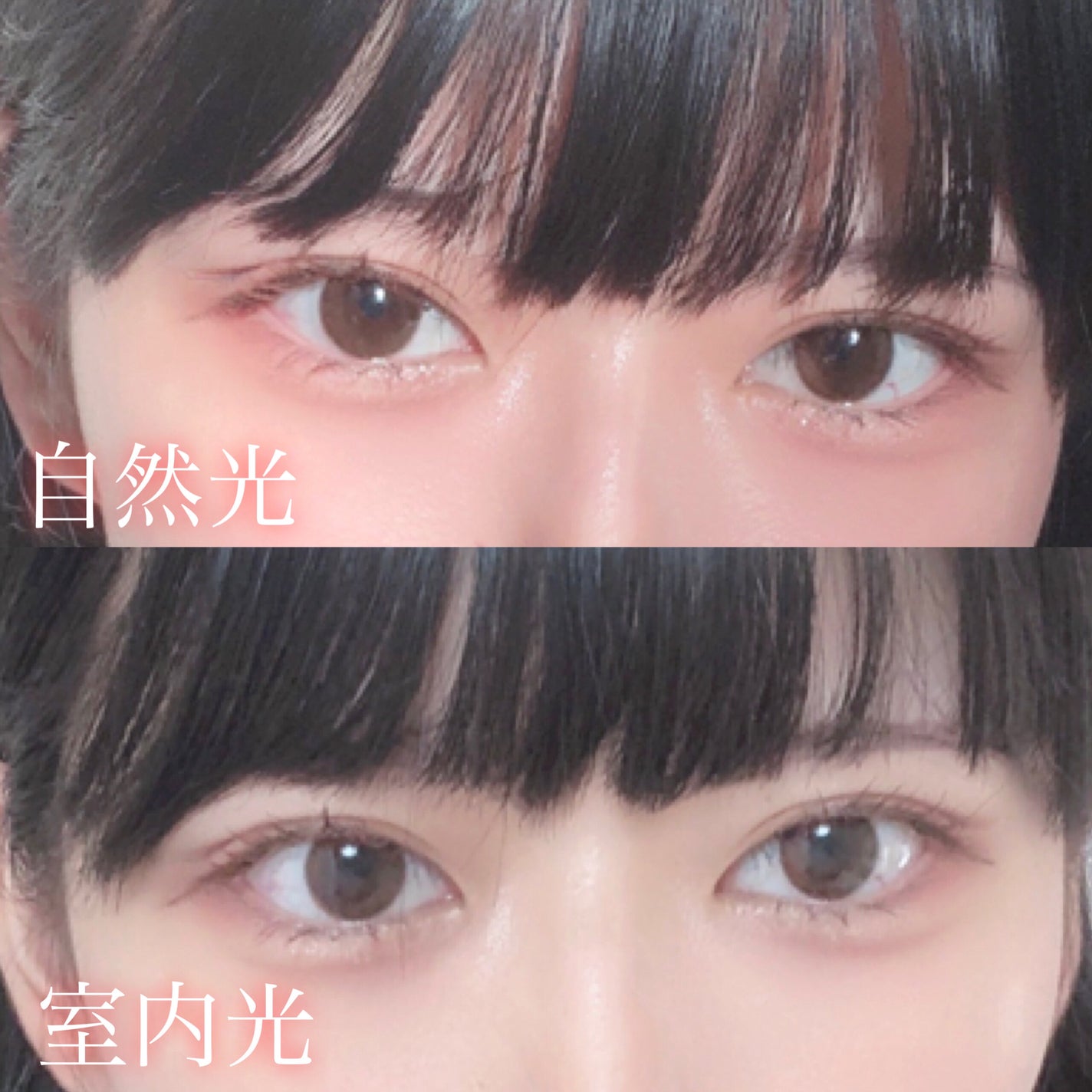 ワンデーリフレア プリフューズ/Refrear/ワンデー(1DAY)カラコンを使ったクチコミ(9枚目)