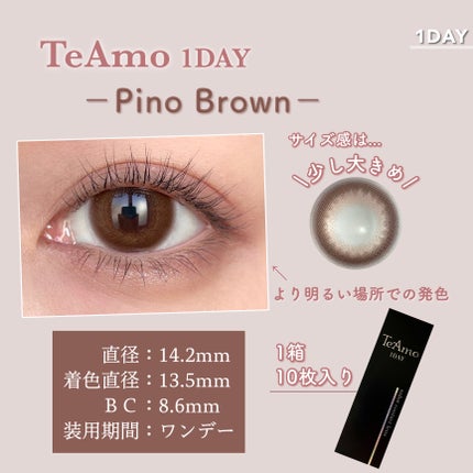 TeAmo 1DAY ピノ ブラウン/TeAmo/ワンデー(1DAY)カラコンの画像