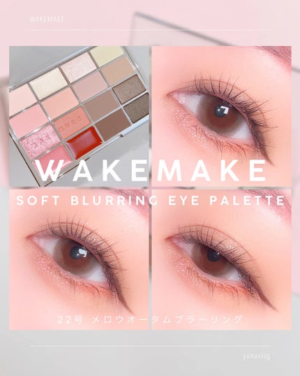 ソフトブラーリングアイパレット/wakemake/アイシャドウパレットを使ったクチコミ(9枚目)