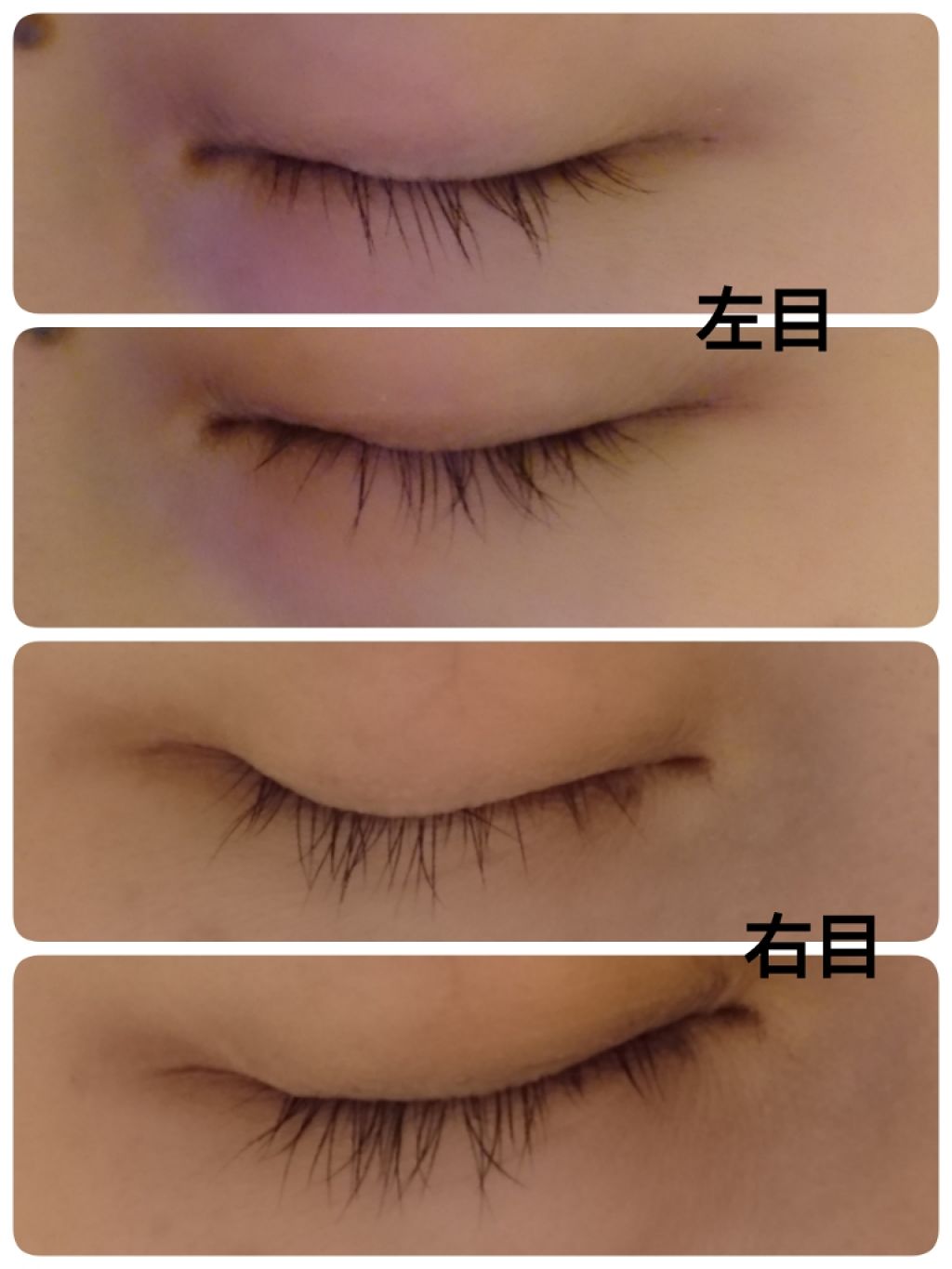 EMAKED（エマーキット）/水橋保寿堂製薬/まつげ美容液を使ったクチコミ（2枚目）