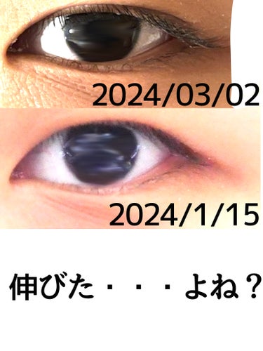 DAISO まつ毛美容液DAのクチコミ「1ヶ月半DAISOのまつ毛美容液使ってみた！！！　果たして結果は...

皆さんはダイソーにま.....」（2枚目）