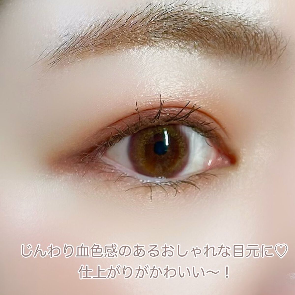 パノラマデザイン アイパレット/Visée/アイシャドウパレットを使ったクチコミ(4枚目)