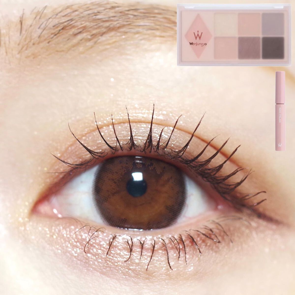 ウォンジョンヨ W デイリームードアップパレット /Wonjungyo/アイシャドウパレットを使ったクチコミ(1枚目)