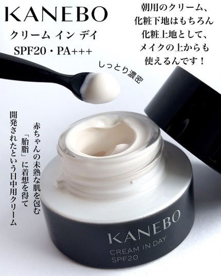 クリーム イン デイ/KANEBO/フェイスクリームを使ったクチコミ(3枚目)