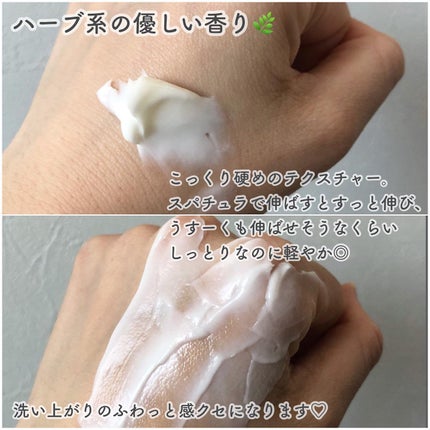 モイストバランシングマスクPro./ビービーラボラトリーズ/洗い流すパック・マスクを使ったクチコミ(3枚目)