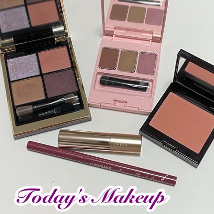 オペラ リップティント N/OPERA/リップティントを使ったクチコミ(1枚目)