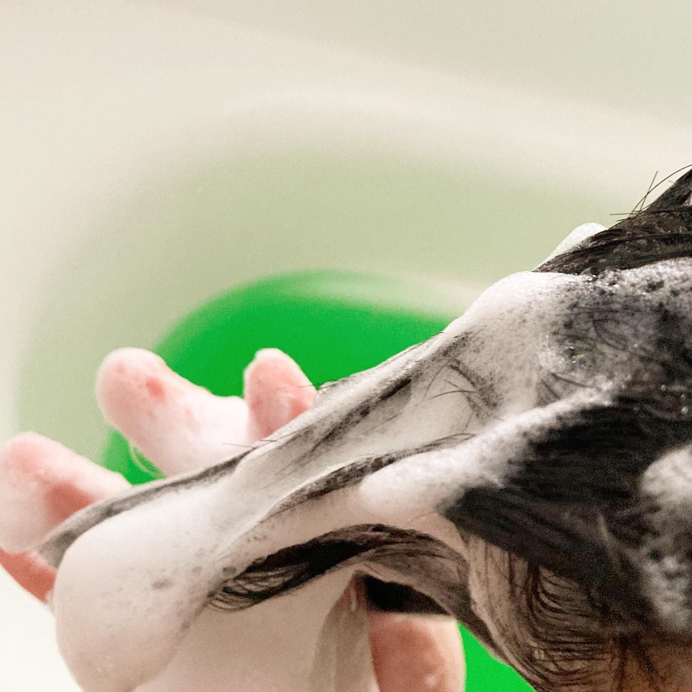 プルント ディープリペア美容液シャンプー/トリートメント/Purunt./市販シャンプーを使ったクチコミ(5枚目)