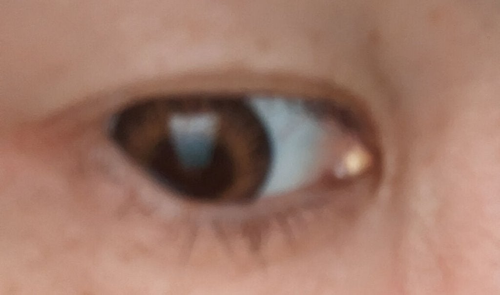 クイックラッシュカーラーセパレート/キャンメイク/マスカラを使ったクチコミ(5枚目)