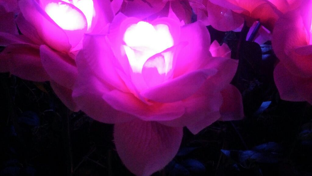 ダイソーパック/DAISO/シートマスク・パックを使ったクチコミ(1枚目)