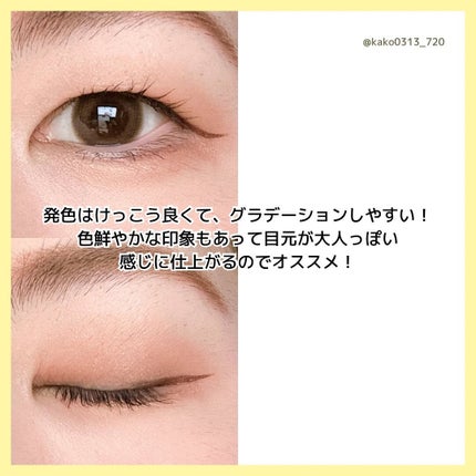 スキニーリッチシャドウ/excel/アイシャドウパレットを使ったクチコミ(6枚目)