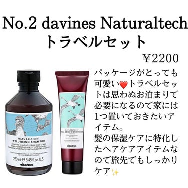 ナチュラルテック トラベルキット＜ＲＮ＞/ダヴィネス/シャンプー・コンディショナーを使ったクチコミ（3枚目）