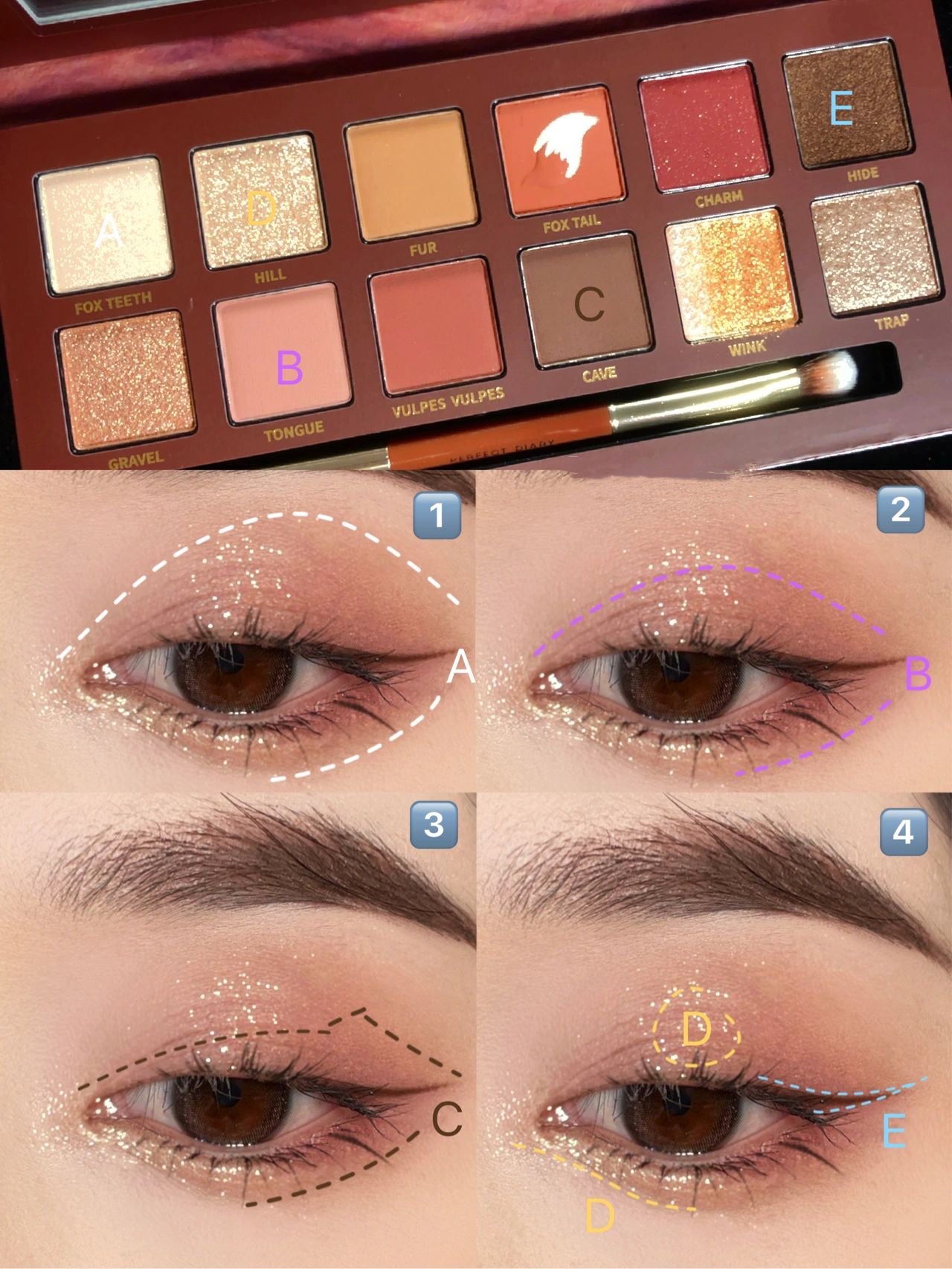 エクスプローラ12色 動物アイシャドウパレット/PERFECT DIARY/アイシャドウパレットを使ったクチコミ(3枚目)