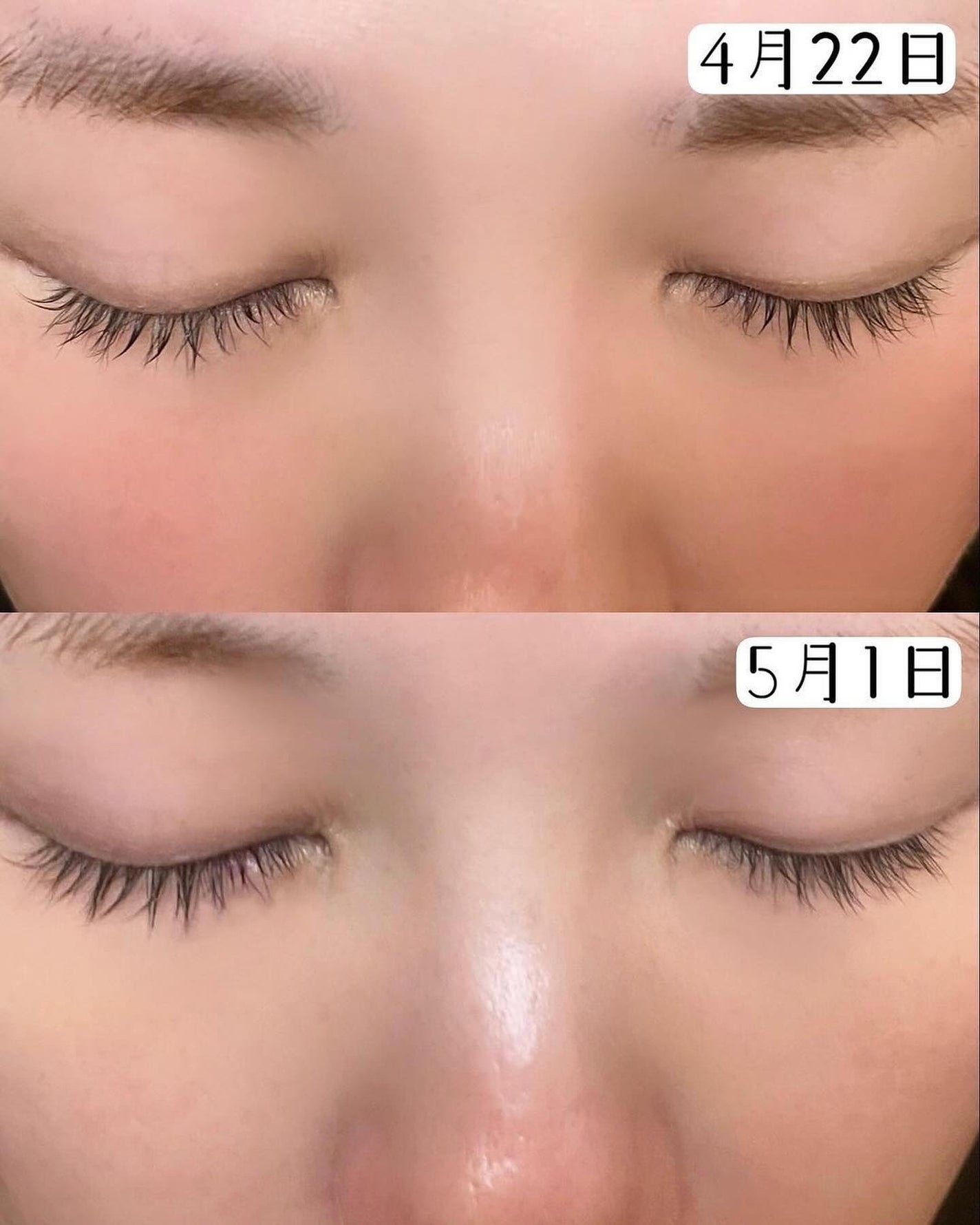 EMAKED(エマーキット)/水橋保寿堂製薬/まつげ美容液を使ったクチコミ(3枚目)