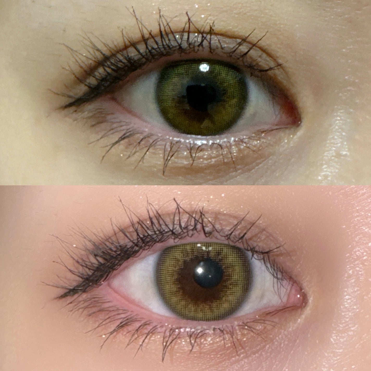 SCANDI 1day/OLENS/カラーコンタクトレンズを使ったクチコミ(3枚目)