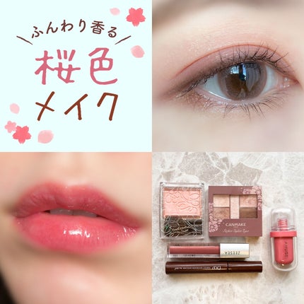 ダイヤモンドシリーズ 星空リキッドアイシャドウ PK 01 桜狩り/ZEESEA/リキッドアイシャドウを使ったクチコミ(1枚目)